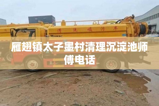 雁翅镇太子墨村清理沉淀池师傅电话
