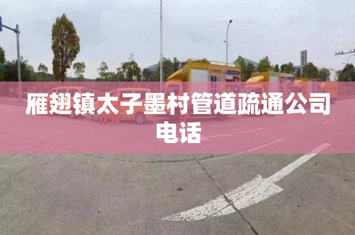 雁翅镇太子墨村管道疏通公司电话