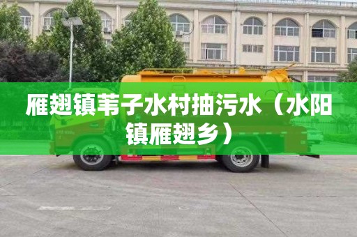 雁翅镇苇子水村抽污水（水阳镇雁翅乡）