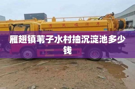 雁翅镇苇子水村抽沉淀池多少钱