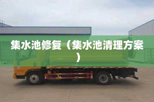 集水池修复（集水池清理方案）