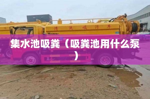 集水池吸粪（吸粪池用什么泵）