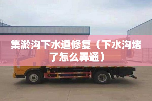 集淤沟下水道修复（下水沟堵了怎么弄通）