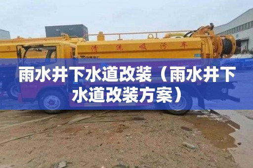 雨水井下水道改装（雨水井下水道改装方案）