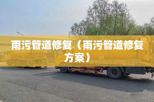 雨污管道修复（雨污管道修复方案）
