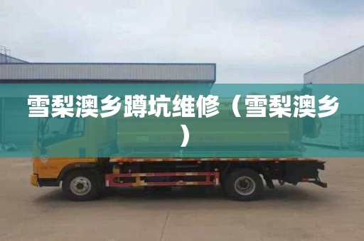 雪梨澳乡蹲坑维修（雪梨澳乡）