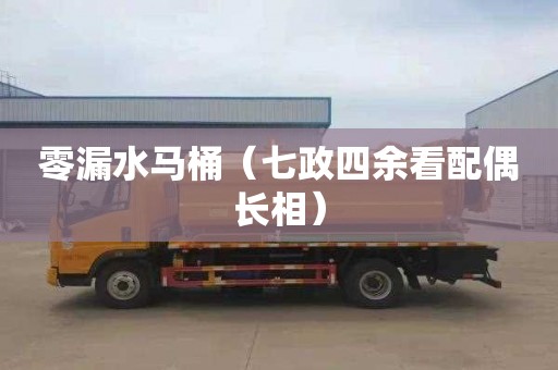 零漏水马桶（七政四余看配偶长相）