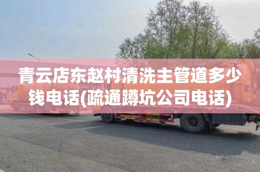 青云店东赵村清洗主管道多少钱电话(疏通蹲坑公司电话)