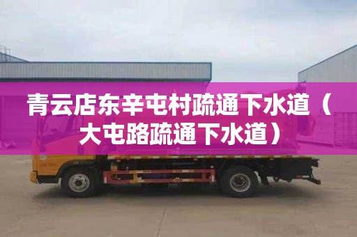 青云店东辛屯村疏通下水道（大屯路疏通下水道）