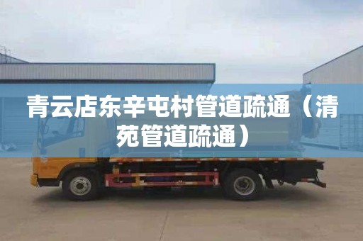 青云店东辛屯村管道疏通（清苑管道疏通）