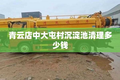 青云店中大屯村沉淀池清理多少钱