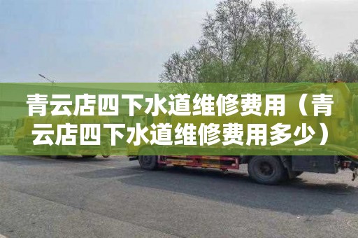 青云店四下水道维修费用（青云店四下水道维修费用多少）