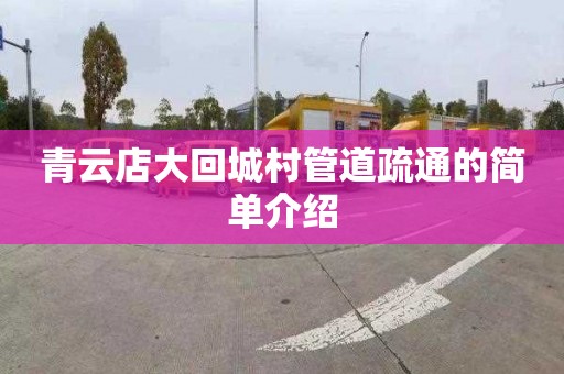 青云店大回城村管道疏通的简单介绍