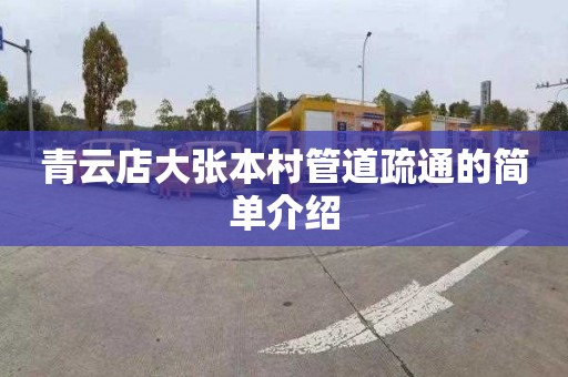 青云店大张本村管道疏通的简单介绍