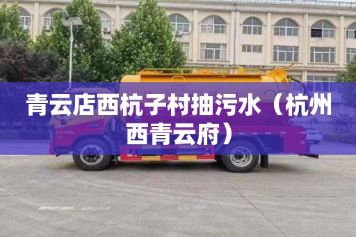 青云店西杭子村抽污水（杭州西青云府）