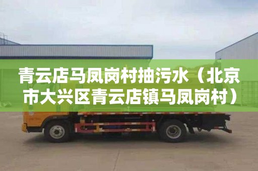 青云店马凤岗村抽污水（北京市大兴区青云店镇马凤岗村）