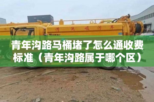 青年沟路马桶堵了怎么通收费标准（青年沟路属于哪个区）