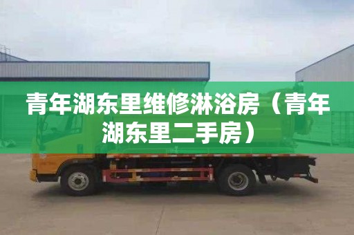 青年湖东里维修淋浴房（青年湖东里二手房）