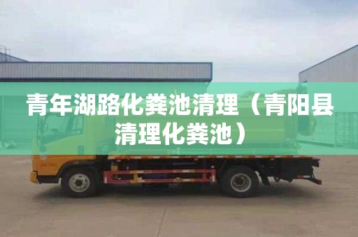 青年湖路化粪池清理（青阳县清理化粪池）