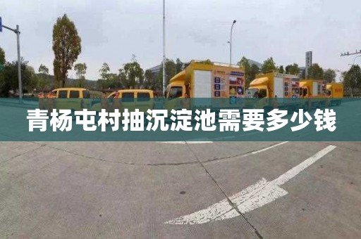 青杨屯村抽沉淀池需要多少钱