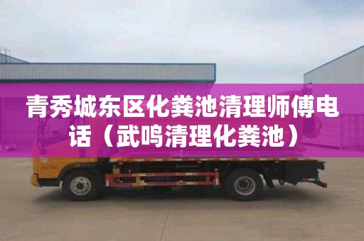 青秀城东区化粪池清理师傅电话（武鸣清理化粪池）