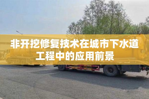 非开挖修复技术在城市下水道工程中的应用前景