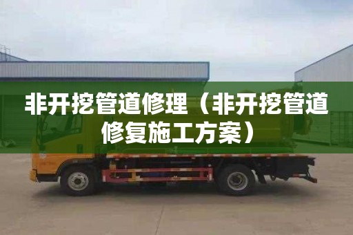 非开挖管道修理（非开挖管道修复施工方案）