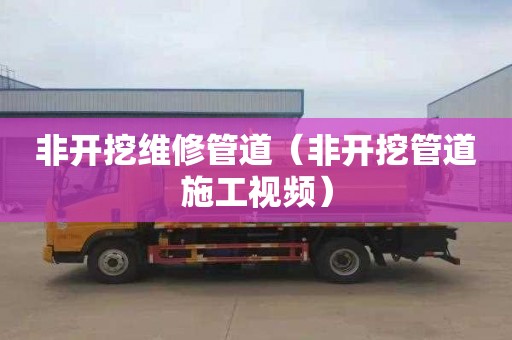 非开挖维修管道（非开挖管道施工视频）