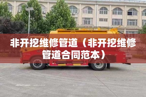 非开挖维修管道（非开挖维修管道合同范本）