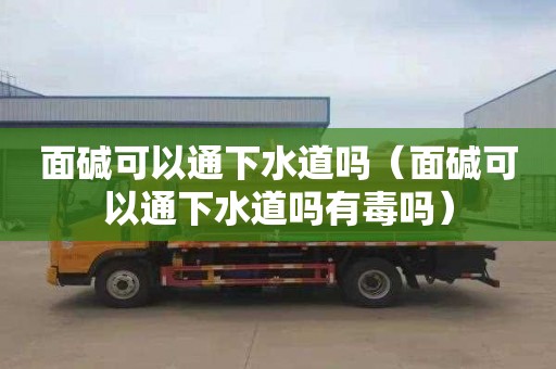 面碱可以通下水道吗（面碱可以通下水道吗有毒吗）