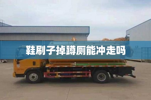 鞋刷子掉蹲厕能冲走吗