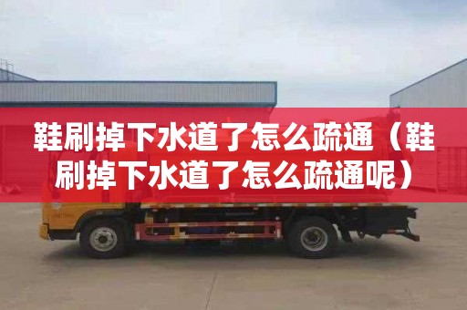 鞋刷掉下水道了怎么疏通（鞋刷掉下水道了怎么疏通呢）