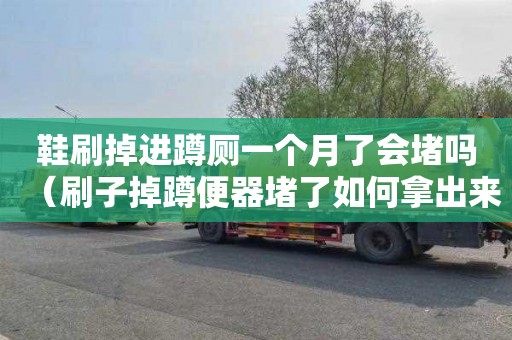 鞋刷掉进蹲厕一个月了会堵吗（刷子掉蹲便器堵了如何拿出来）