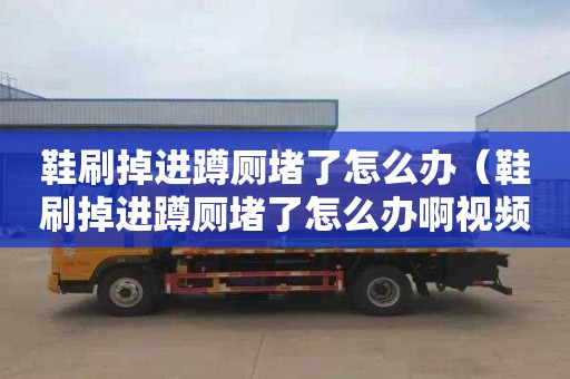 鞋刷掉进蹲厕堵了怎么办（鞋刷掉进蹲厕堵了怎么办啊视频）