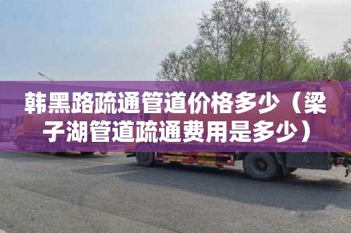 韩黑路疏通管道价格多少（梁子湖管道疏通费用是多少）