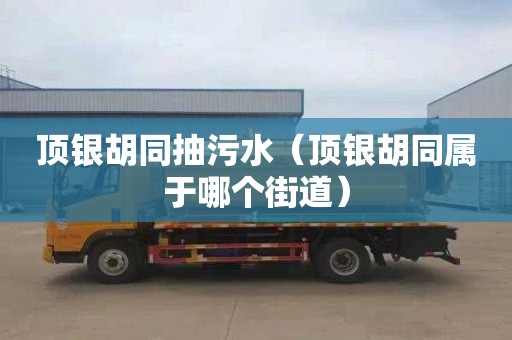 顶银胡同抽污水（顶银胡同属于哪个街道）
