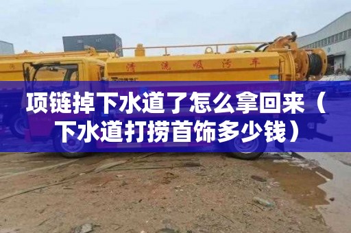 项链掉下水道了怎么拿回来（下水道打捞首饰多少钱）