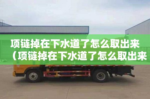 项链掉在下水道了怎么取出来（项链掉在下水道了怎么取出来图解）