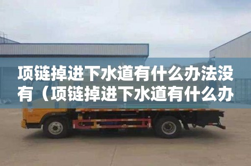 项链掉进下水道有什么办法没有（项链掉进下水道有什么办法没有堵住）