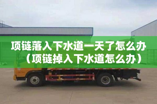 项链落入下水道一天了怎么办（项链掉入下水道怎么办）