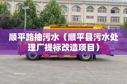 顺平路抽污水（顺平县污水处理厂提标改造项目）