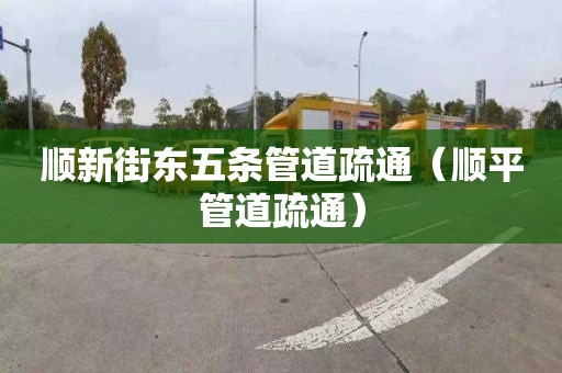 顺新街东五条管道疏通（顺平管道疏通）