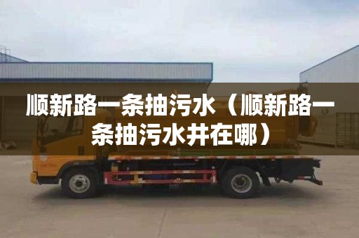 顺新路一条抽污水（顺新路一条抽污水井在哪）