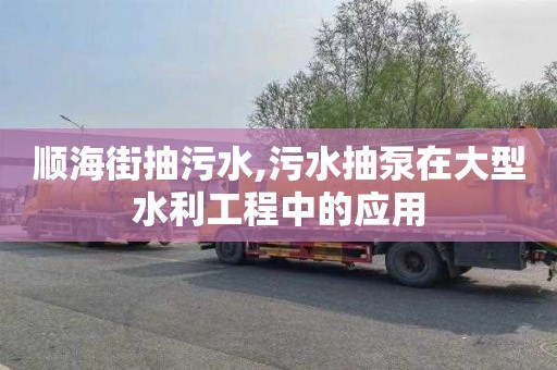 顺海街抽污水,污水抽泵在大型水利工程中的应用