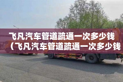 飞凡汽车管道疏通一次多少钱（飞凡汽车管道疏通一次多少钱啊）