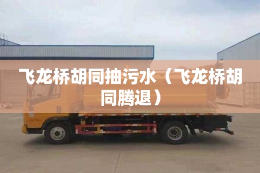 飞龙桥胡同抽污水（飞龙桥胡同腾退）