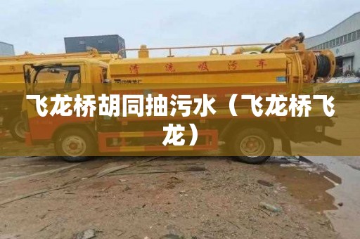 飞龙桥胡同抽污水（飞龙桥飞龙）