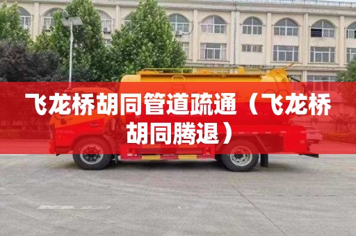 飞龙桥胡同管道疏通（飞龙桥胡同腾退）