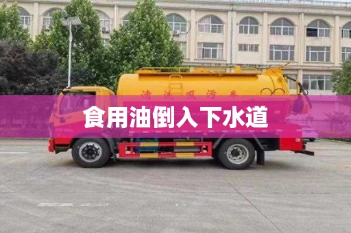 食用油倒入下水道