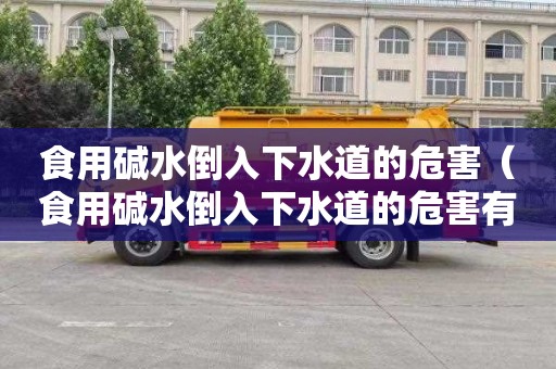 食用碱水倒入下水道的危害（食用碱水倒入下水道的危害有哪些）